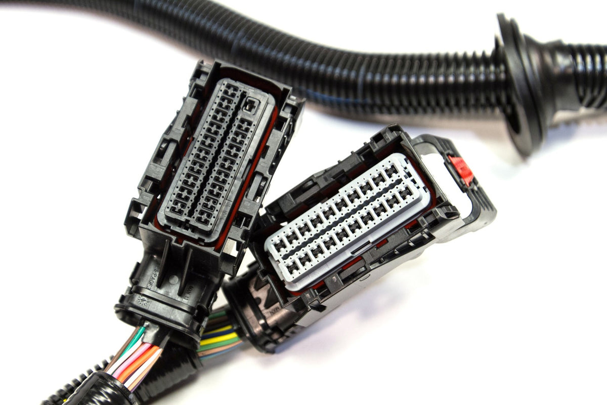 350Z / G35 LSx Swap Engine Harness - Gen 4 58X Engines – LOJ